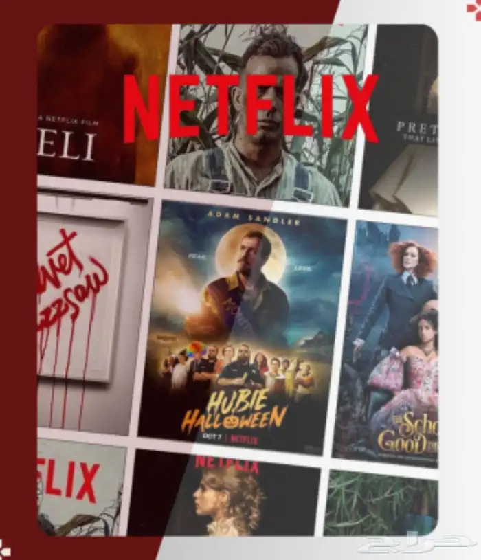 بكج ثلاث بواحد شاهد ونت فلكس و8 سنه تسليم فوري 1