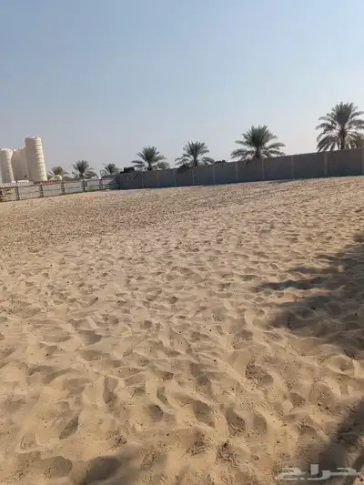 أرض مسورة للإيجار مساحة 10 الاف متر مربع index