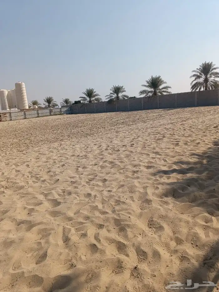 أرض مسورة للإيجار مساحة 10 الاف متر مربع 2