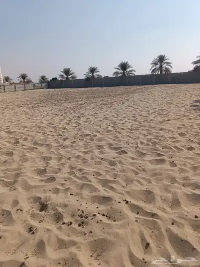 أرض مسورة للإيجار مساحة 10 الاف متر مربع index