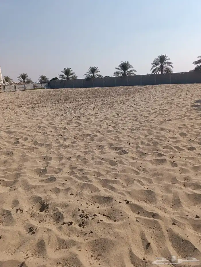 أرض مسورة للإيجار مساحة 10 الاف متر مربع 1