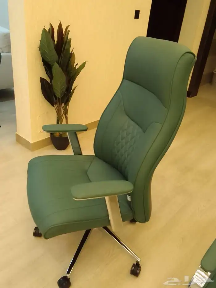 مكتب طقم اخضر فخم حق مدير 15
