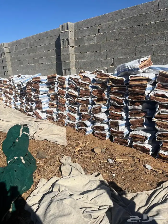 مستورد حطب المدينه شلايخ الخيشه تجي 13 كيلو 0