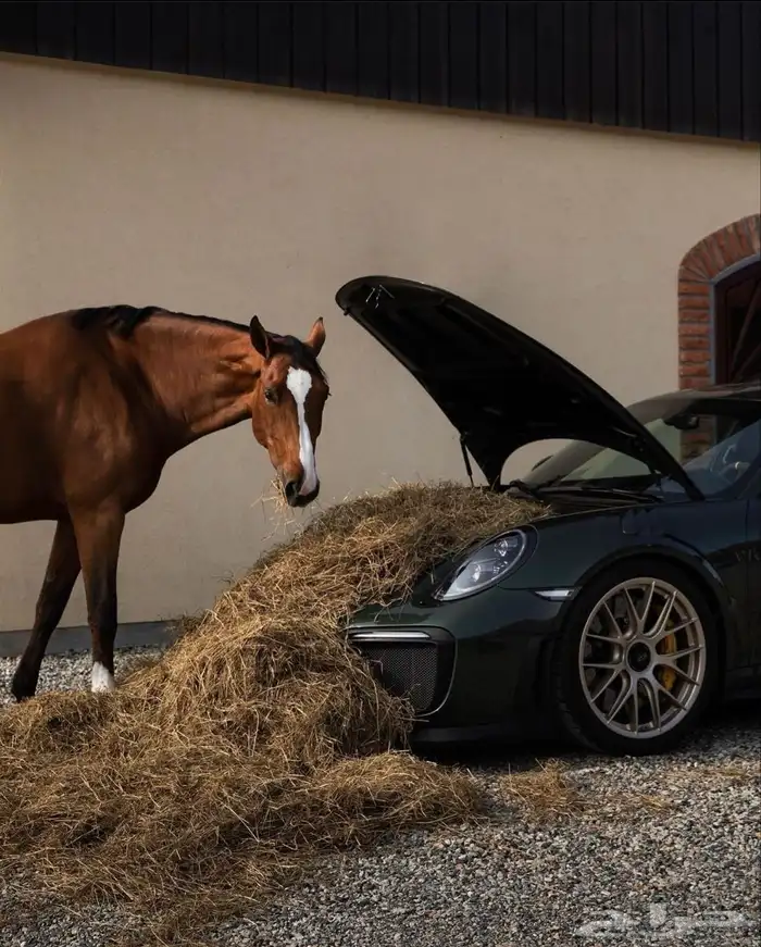 مصورة جوال ومنتجات 0