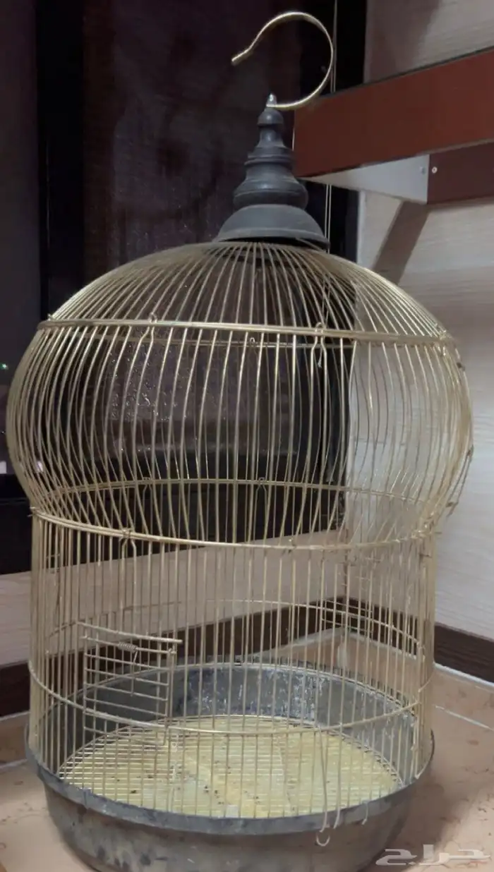 بيع قفص عصافير احجام مختلفه 0