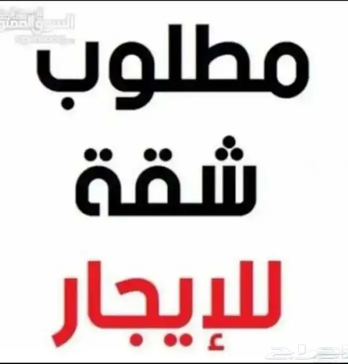 مطلوب شقه عزاب للايجار جديدة ومؤثثه (صاله-حمام-مطبخ-غرفه) 0