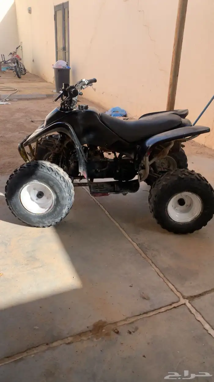 دباب الأصلي سويدي 0