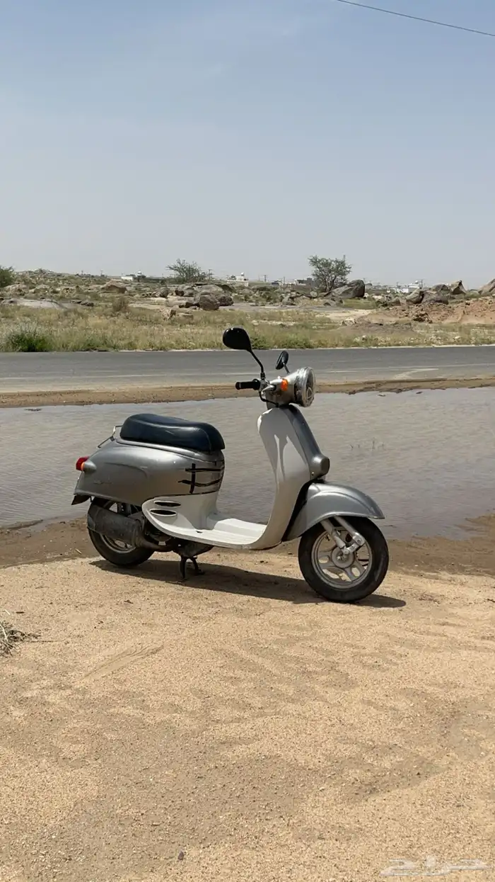 دباب هوندا جيرونو البيع تصميم كلايسيكي 5