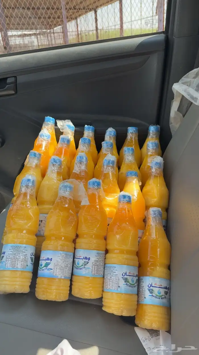 سمن بقر مشروط 0