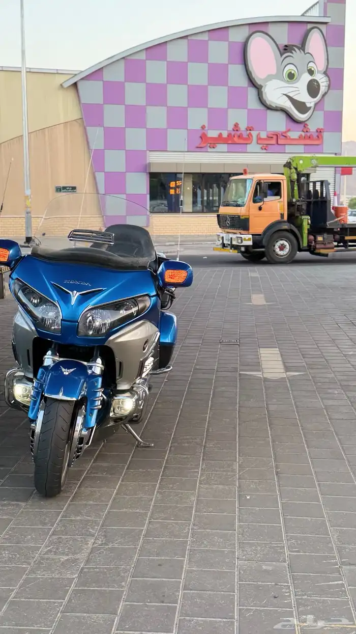 قولد وينق 2012 2