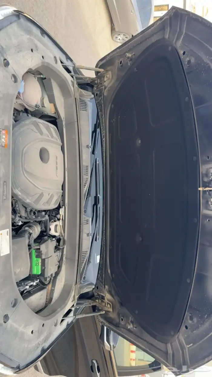 جيلي مونجارو 2024 24