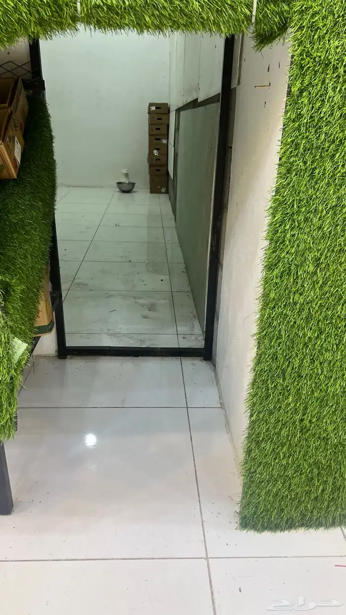 محل خضار للتقبيل 6