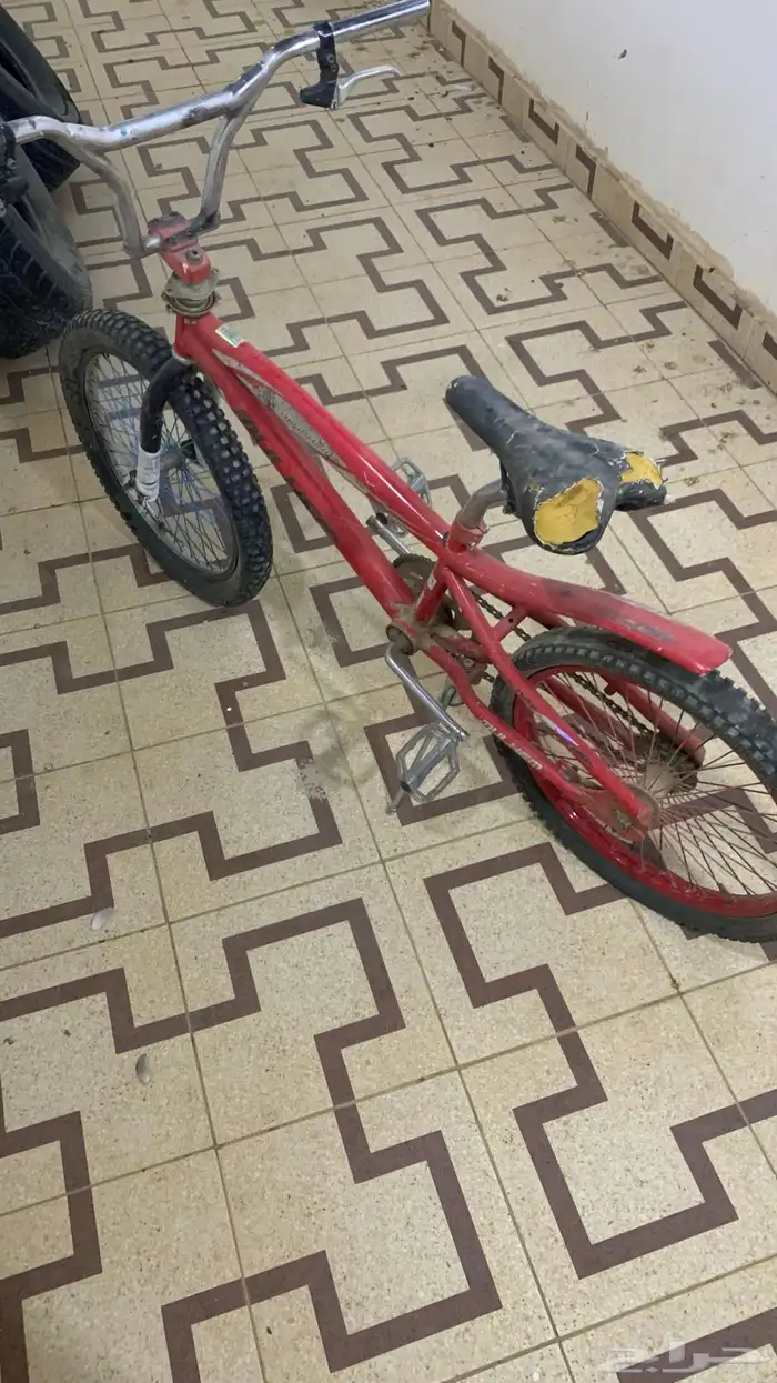 سيكل كوبرا مقاس 20 1