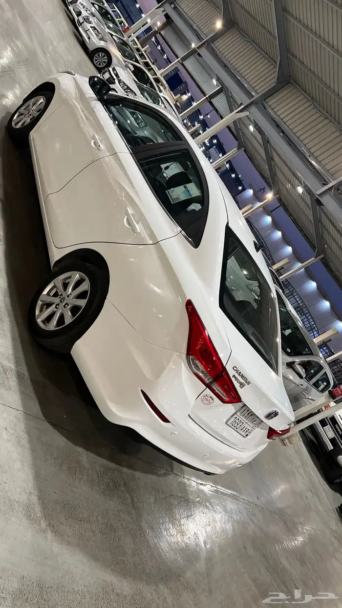 شانجان سفن فل كامل 2023 6