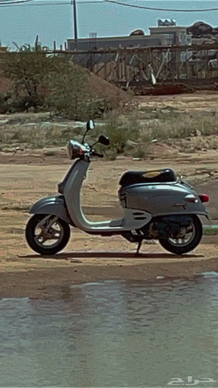 دباب هوندا جيرونو البيع تصميم كلايسيكي 3