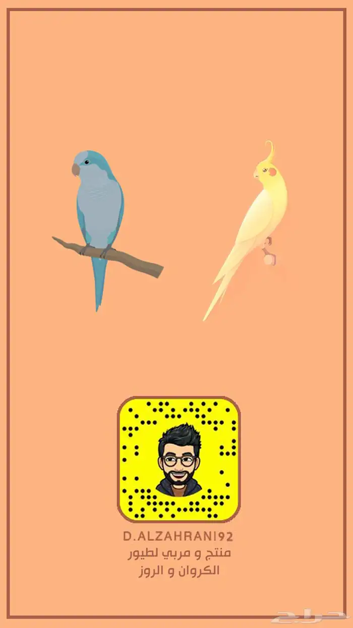 فرخ روز البينو غر 4