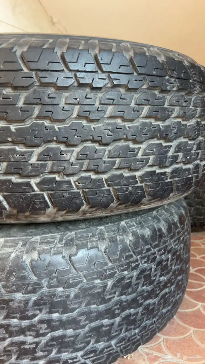 جنوط الحميد 0