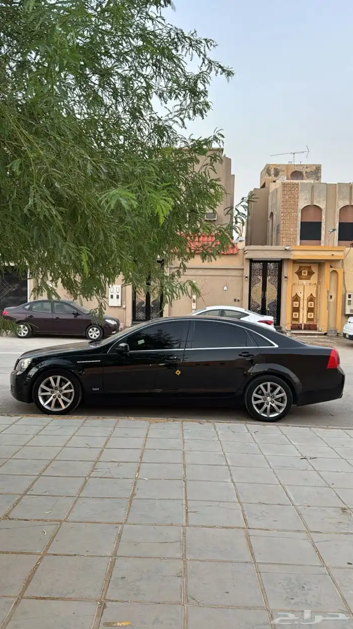 كابرس للبيع 2014 4