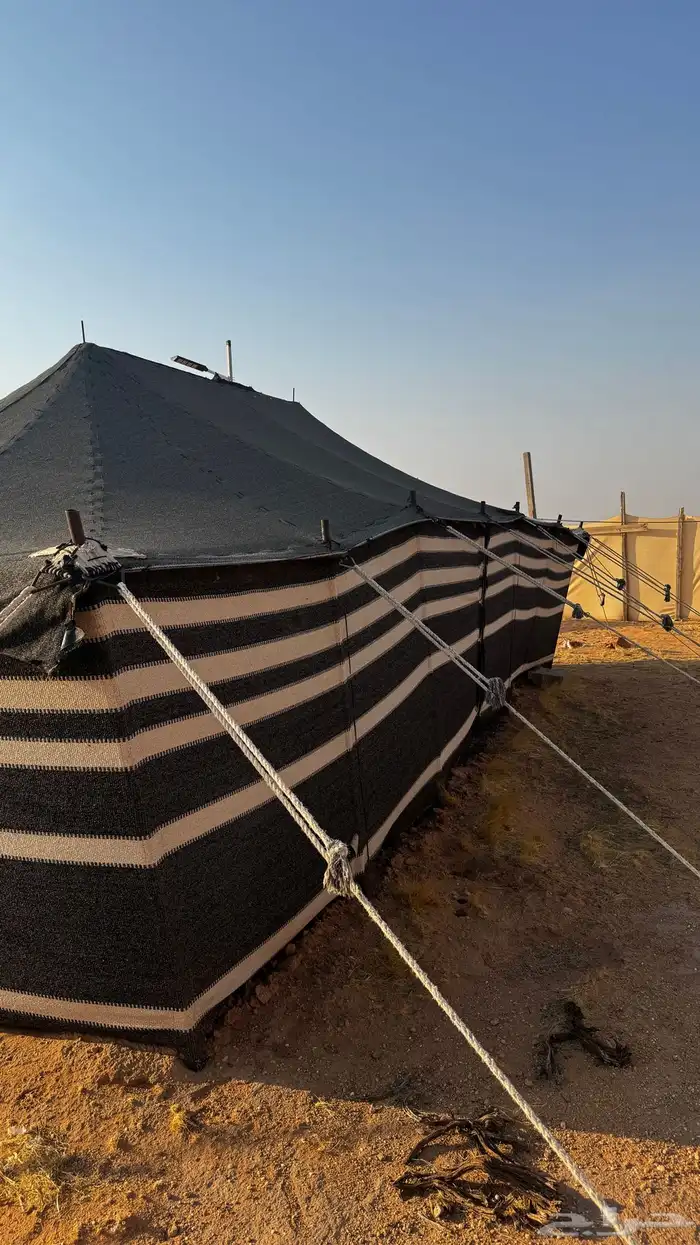 بيت شعر 9 في5 2