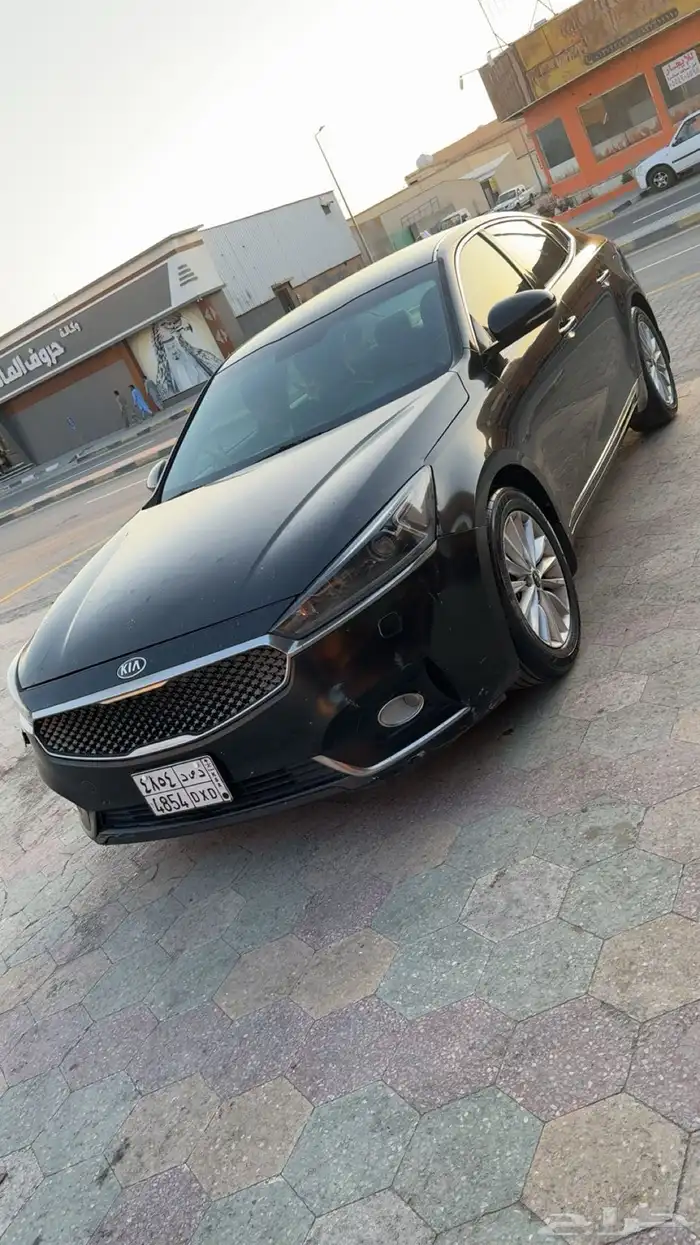 كادنزا للبيع 2