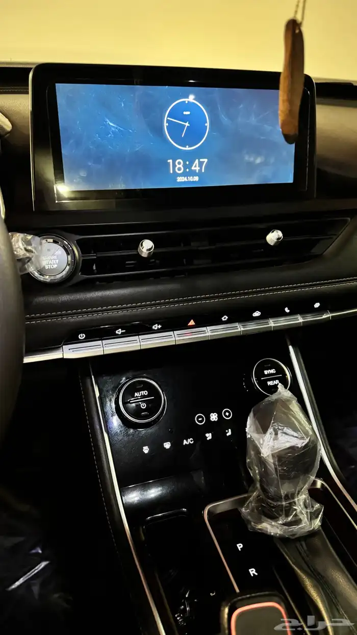 للبيع شيري تيجو 8 برو 17