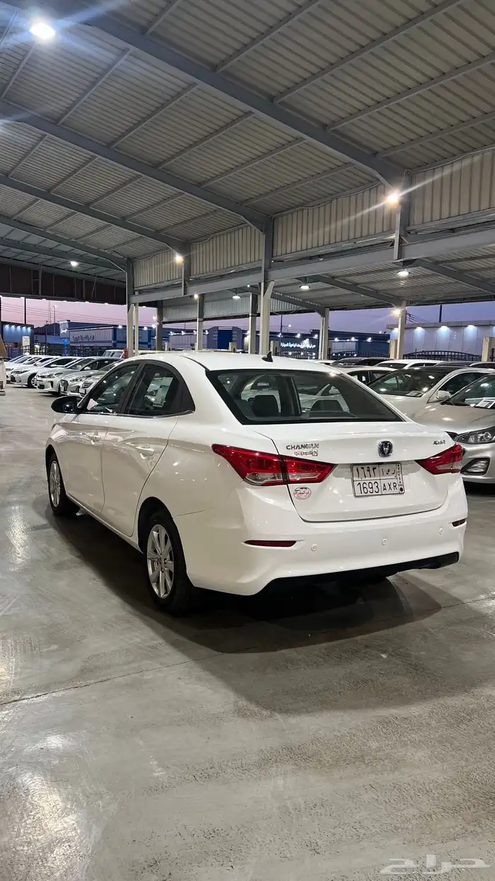 شانجان سفن فل كامل 2023 5