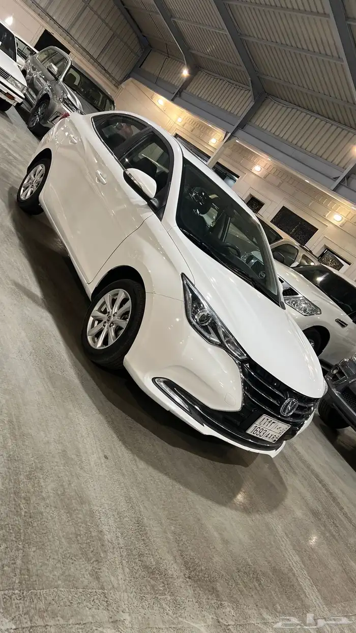 شانجان سفن فل كامل 2023 0