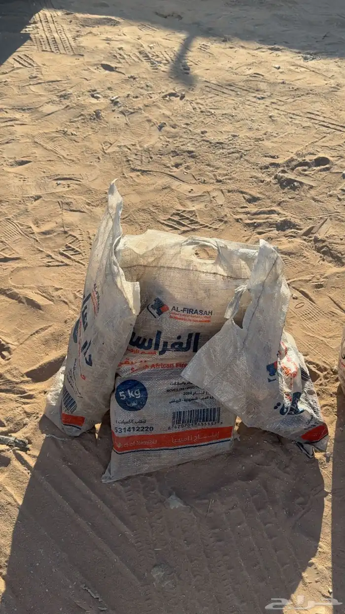 حطب مستورد 3