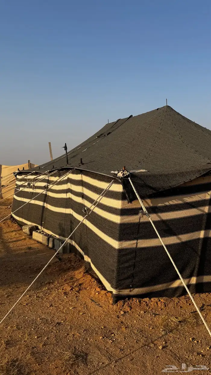 بيت شعر 9 في5 0