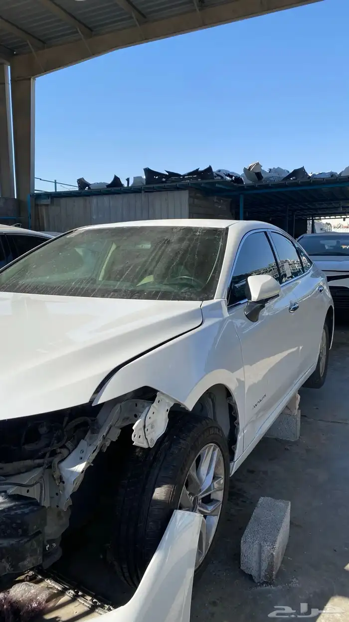 افلون 2019 (تشليح) 0