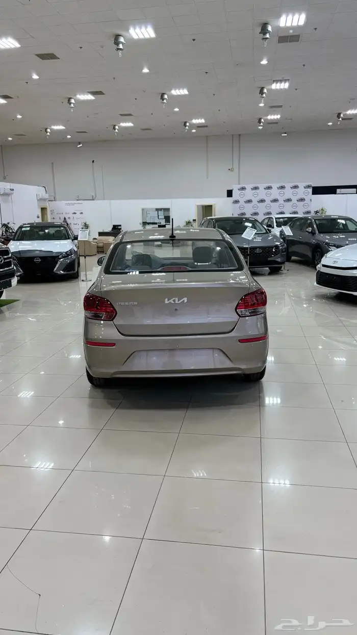 كيا بيجاس استاندر 2026 4