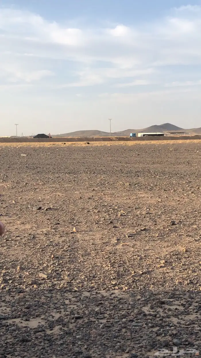 ابي مخيم جهة العيدانيه 0