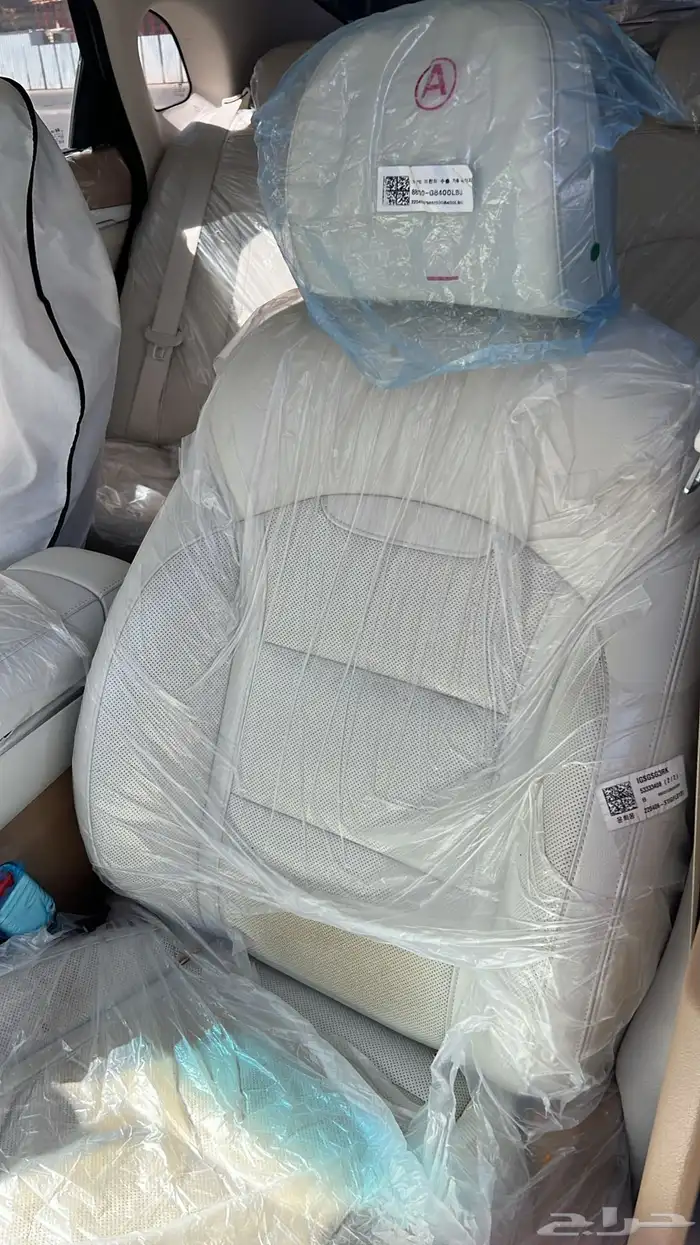 ازيرا بدي بلد 10