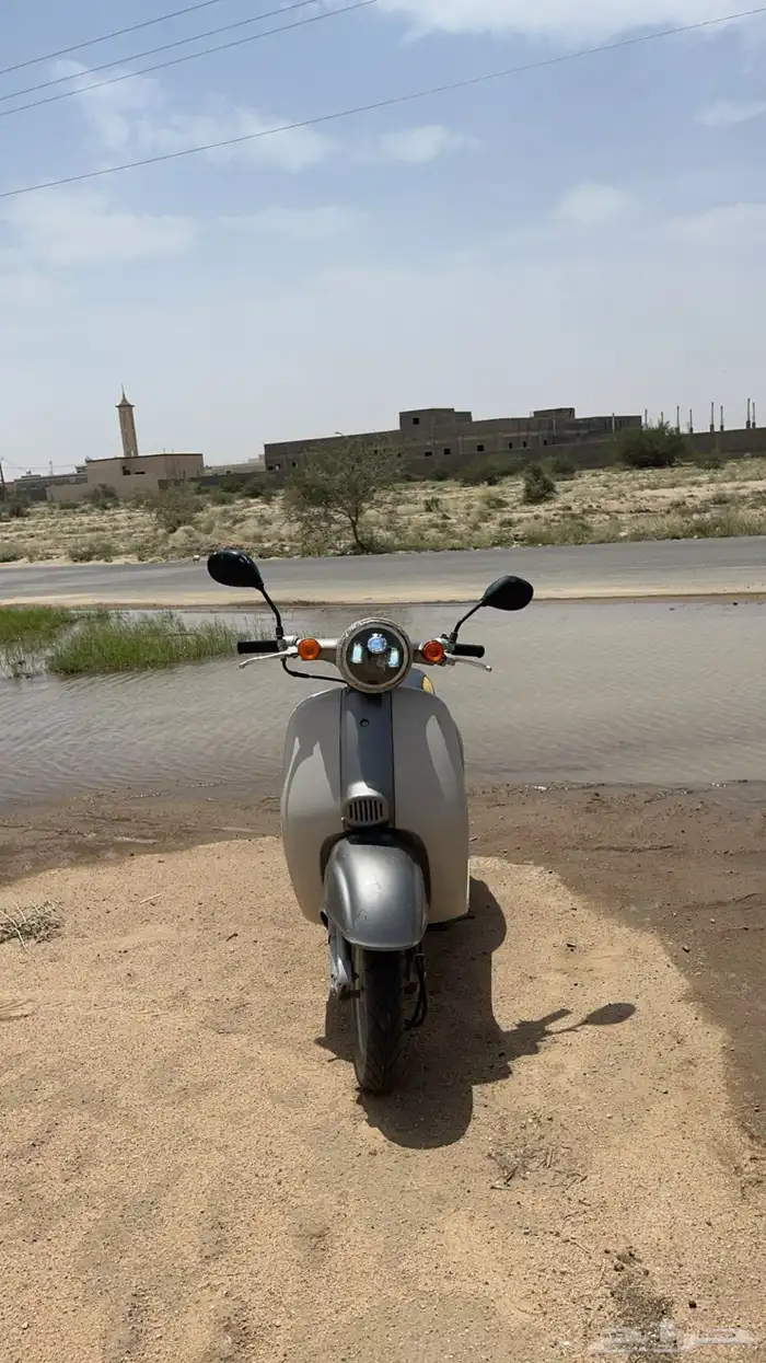 دباب هوندا جيرونو البيع تصميم كلايسيكي 6