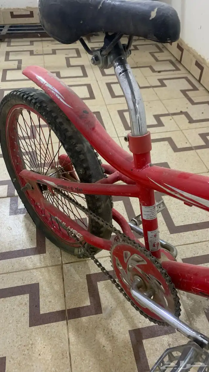 سيكل كوبرا مقاس 20 3