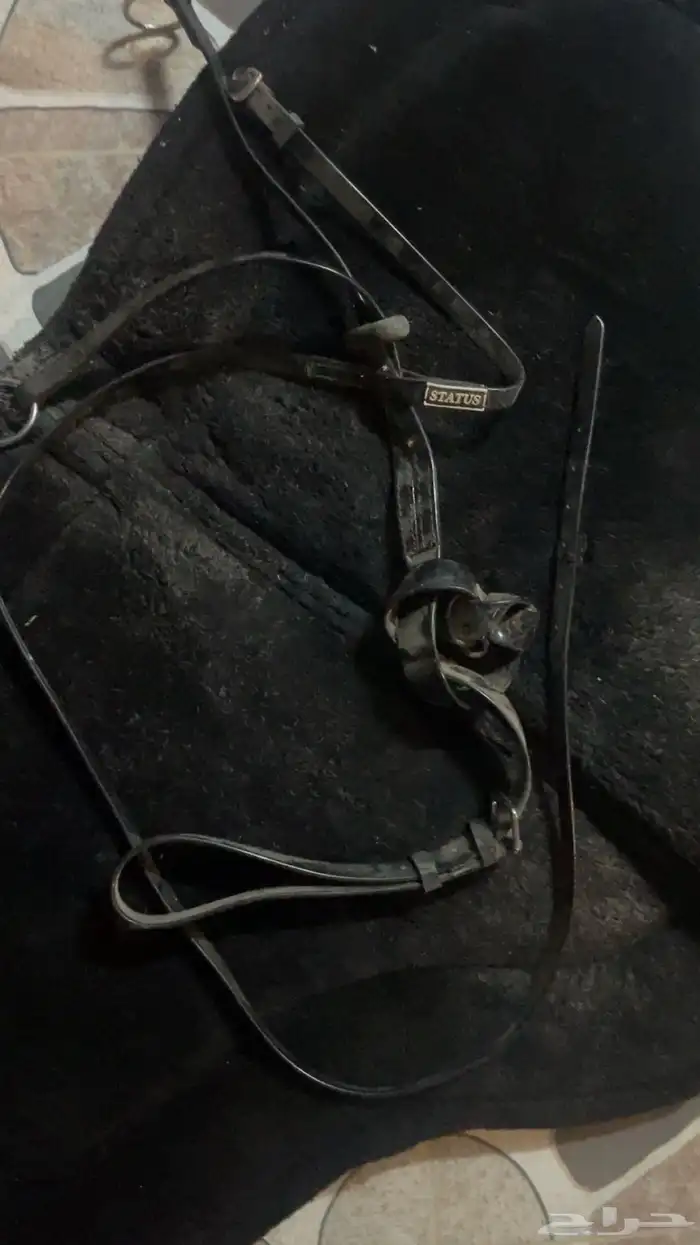 سرج تشغيل ستيتوس 5