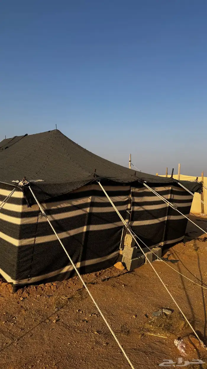 بيت شعر 9 في5 1