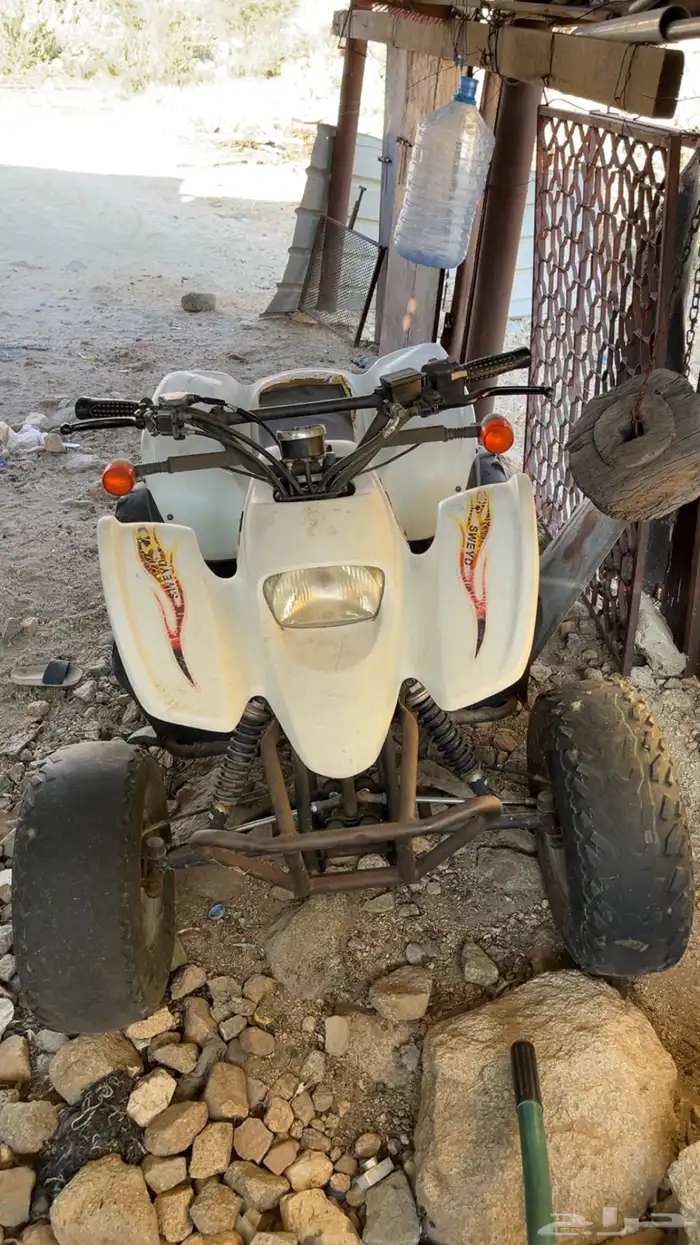 دباب سويدي 2019 لون ابيض 0