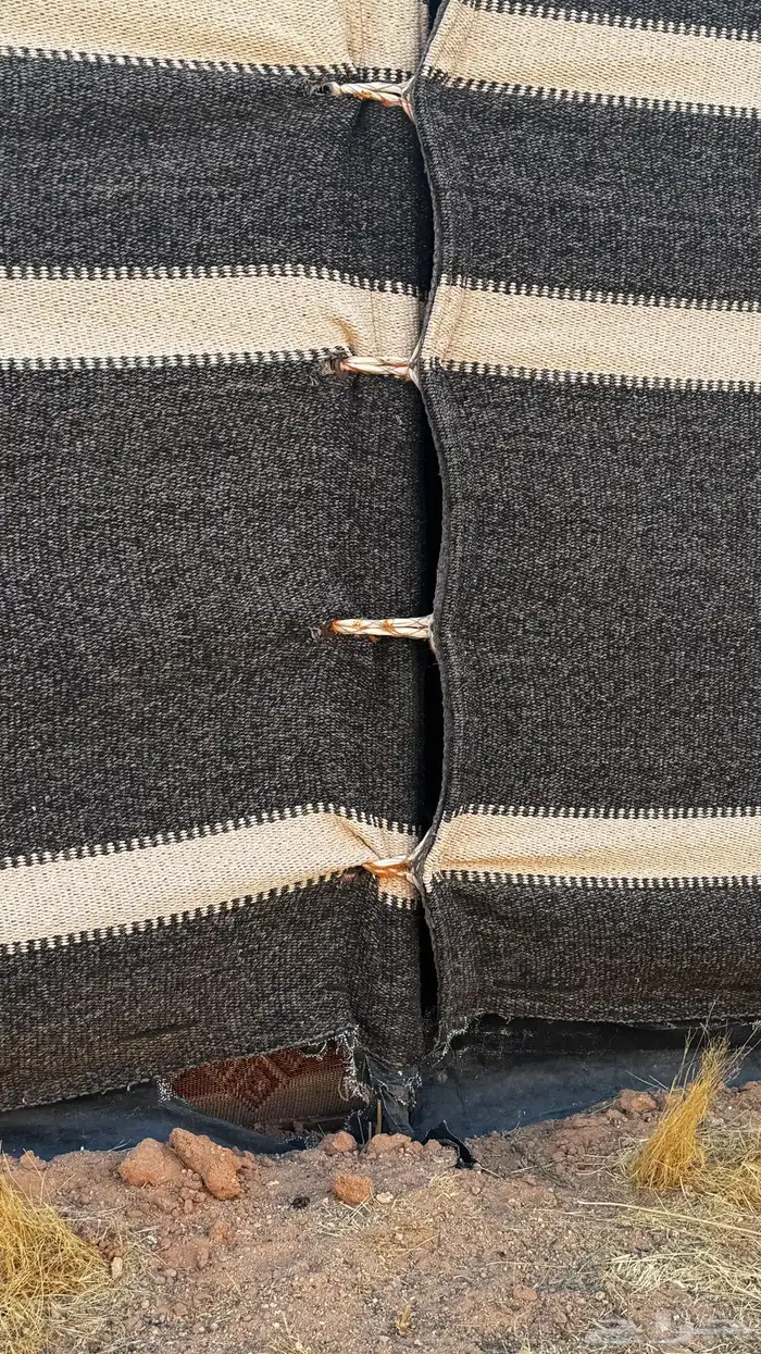 بيت شعر 9 في5 9