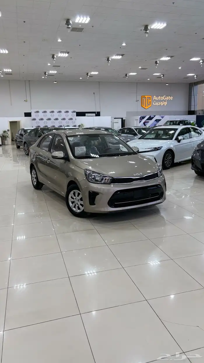 كيا بيجاس استاندر 2026 0