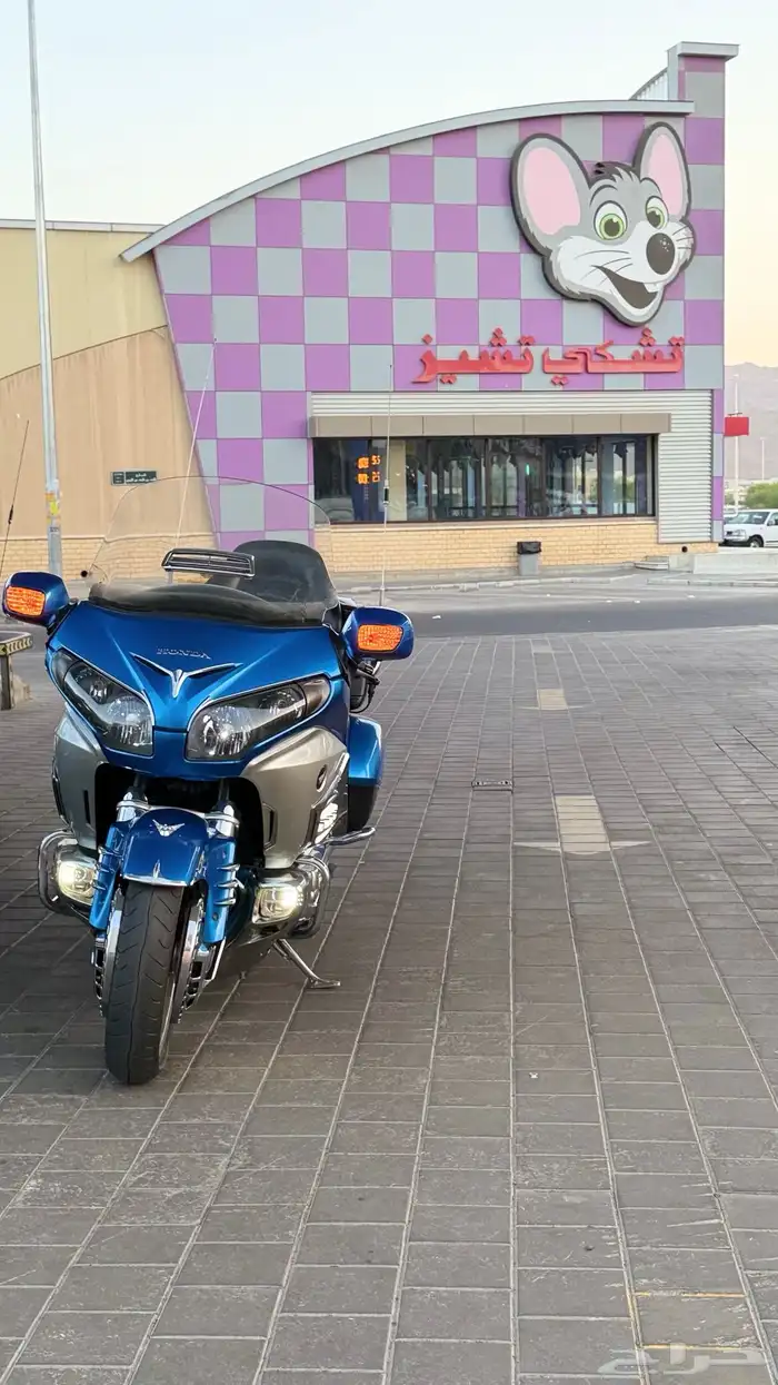 قولد وينق 2012 3