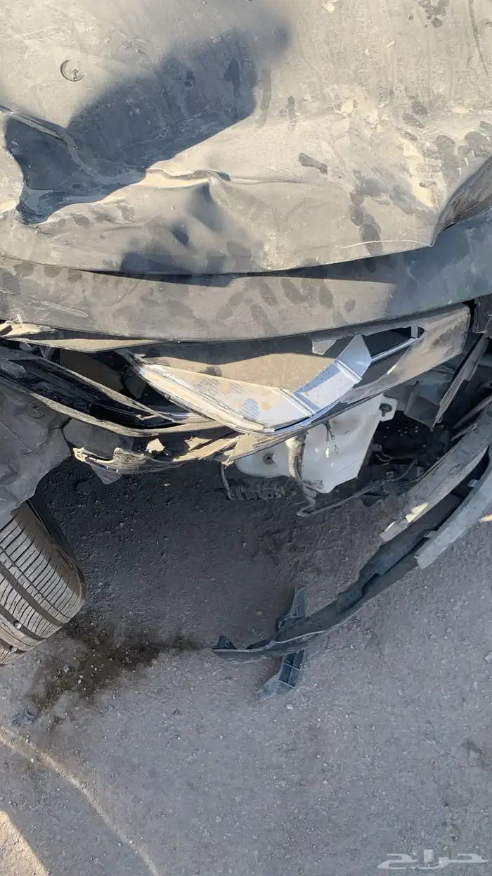 جيلي بريفيس 2025 9