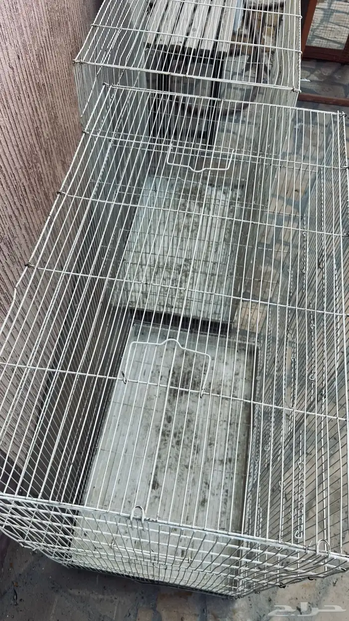 مطير طيور 2للبيع في بيشة 0