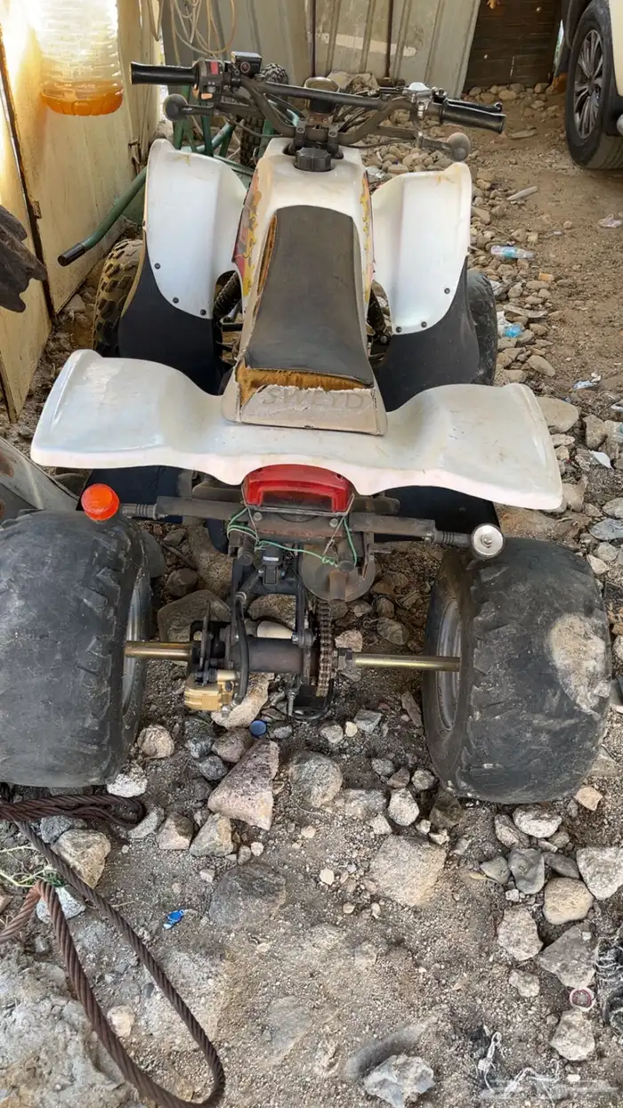 دباب سويدي 2019 لون ابيض 1