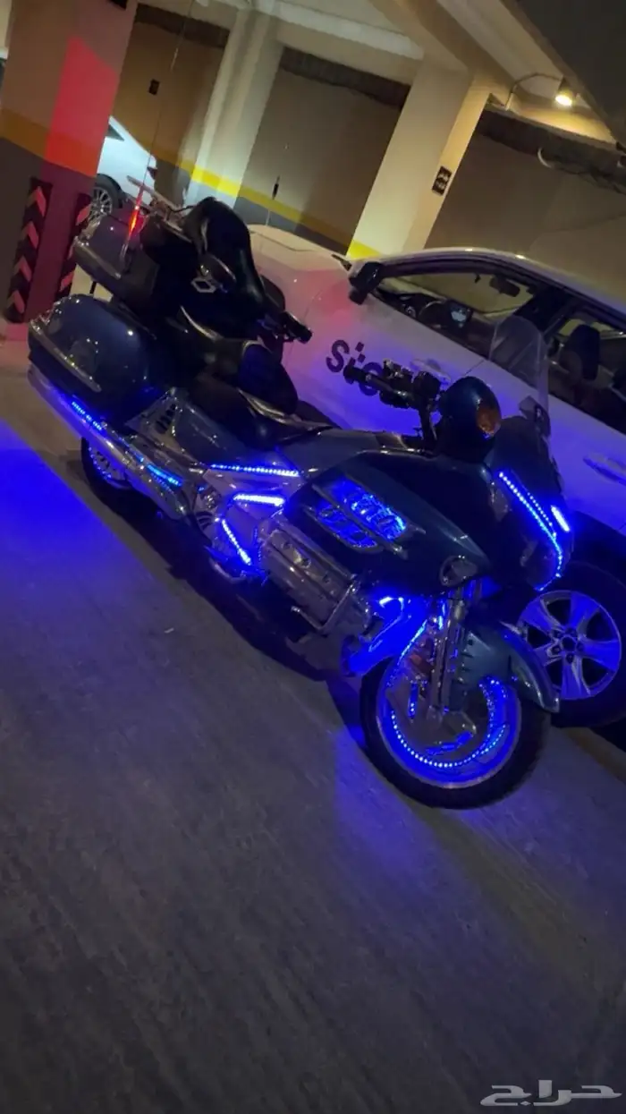 جولد وينق 2007 0