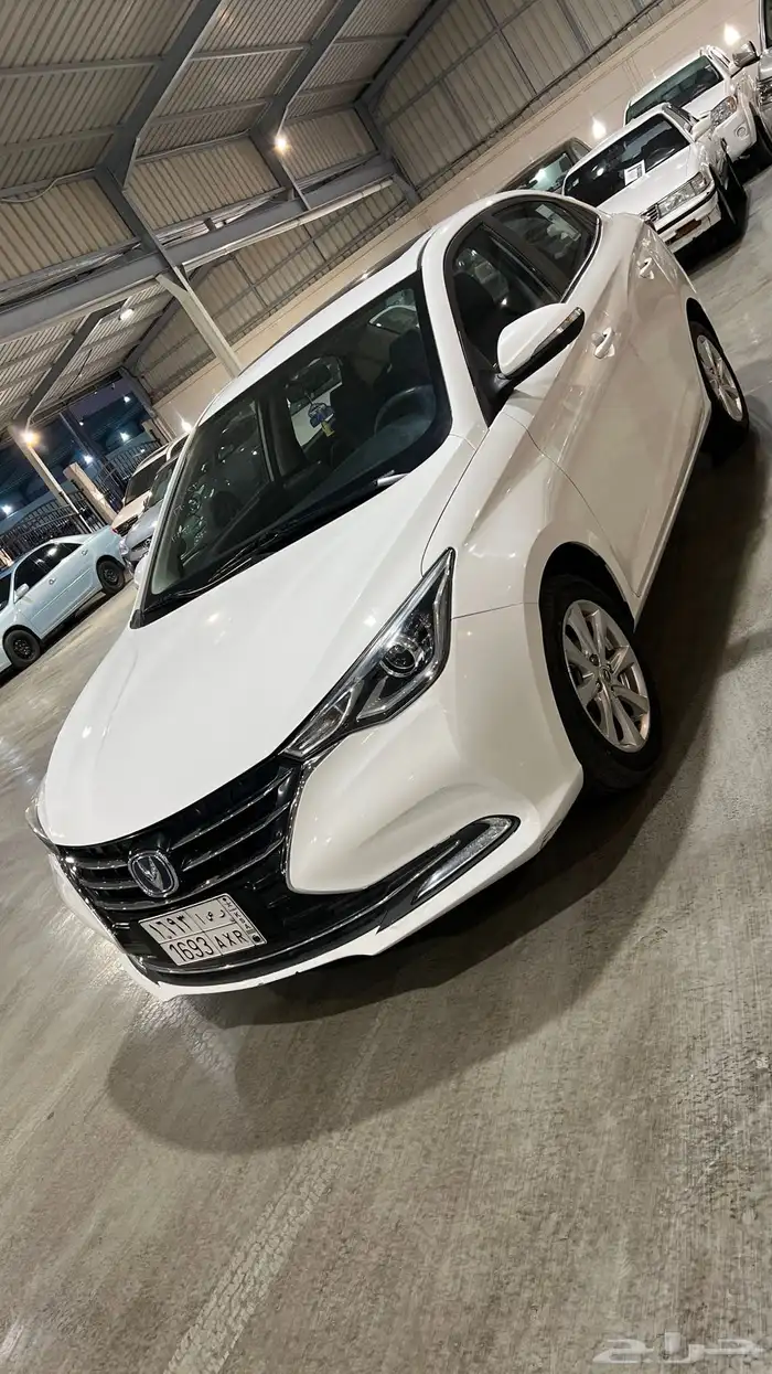 شانجان سفن فل كامل 2023 9