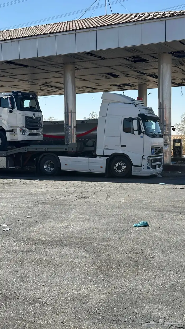 لوبد ضبا مكرة سحب 0