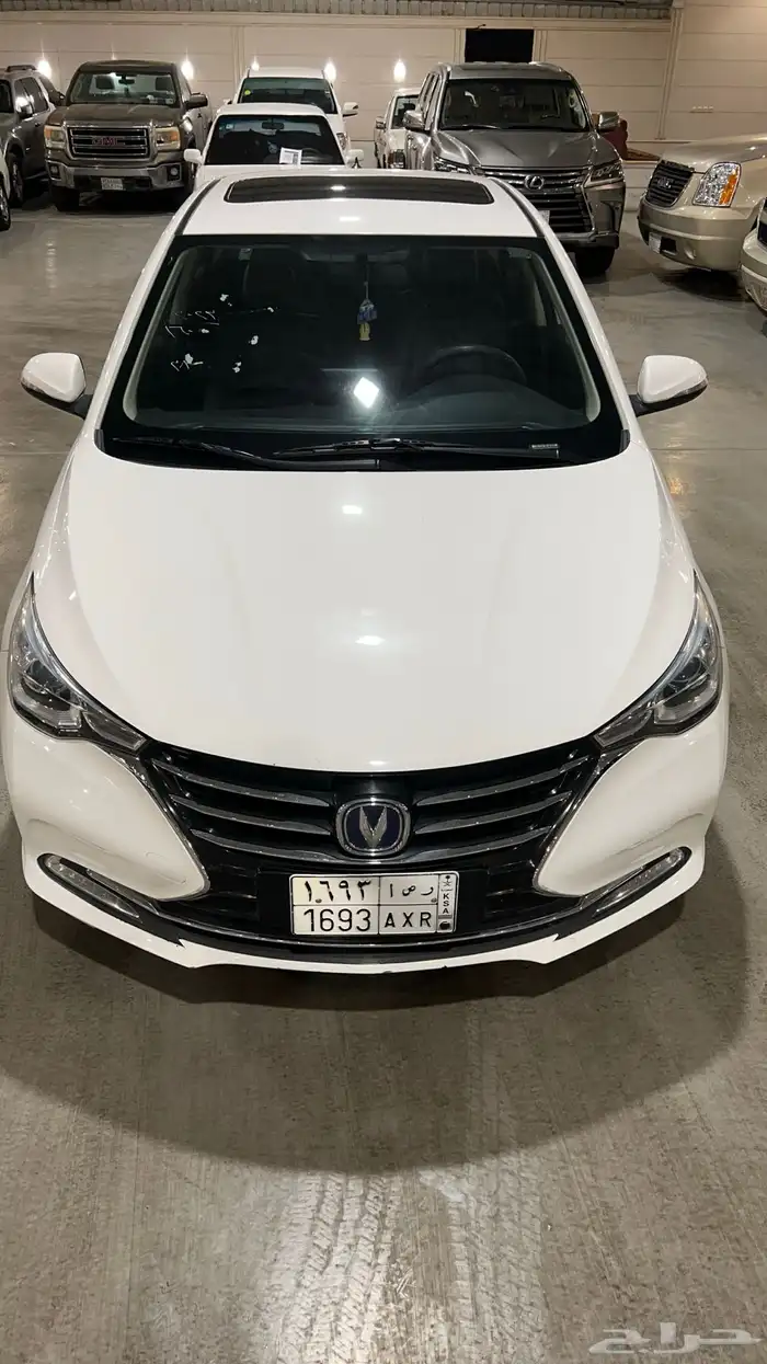 شانجان سفن فل كامل 2023 10