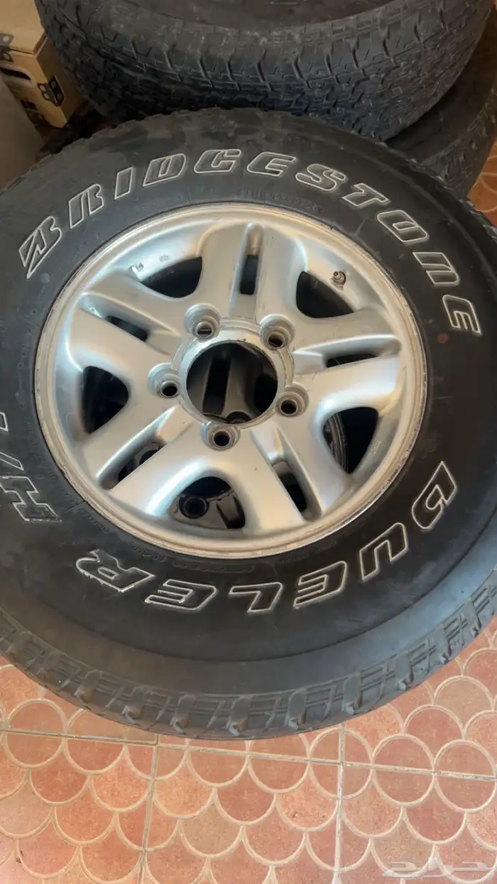 جنوط الحميد 1