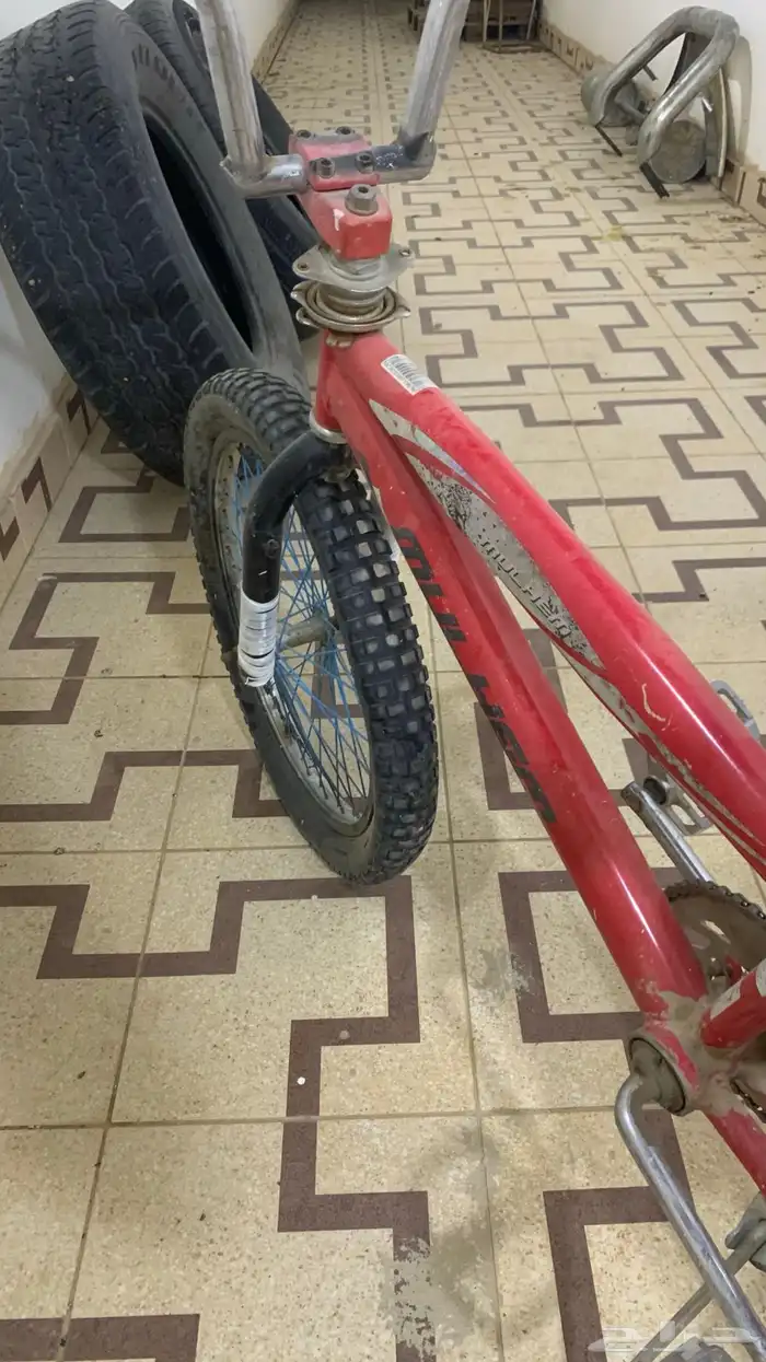 سيكل كوبرا مقاس 20 2